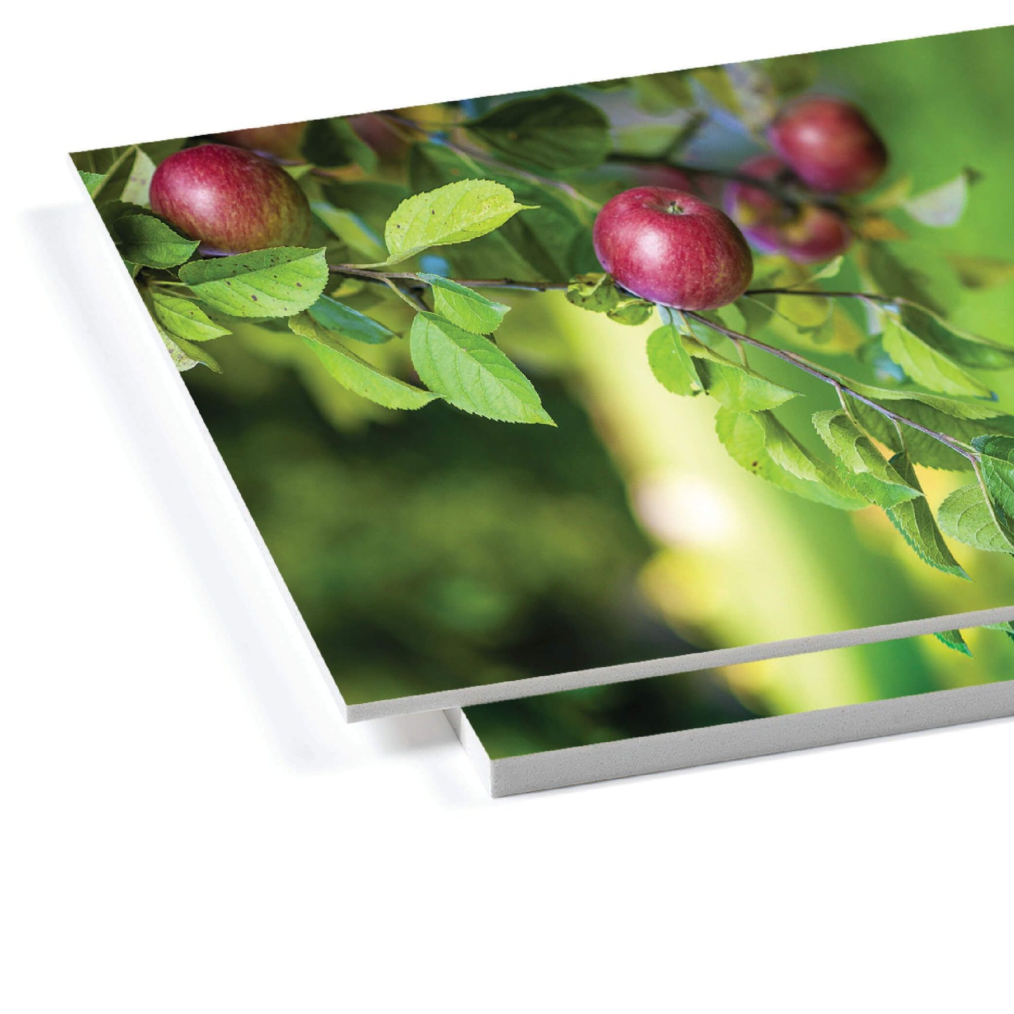 Oppskummet pvc bilder megaskilt