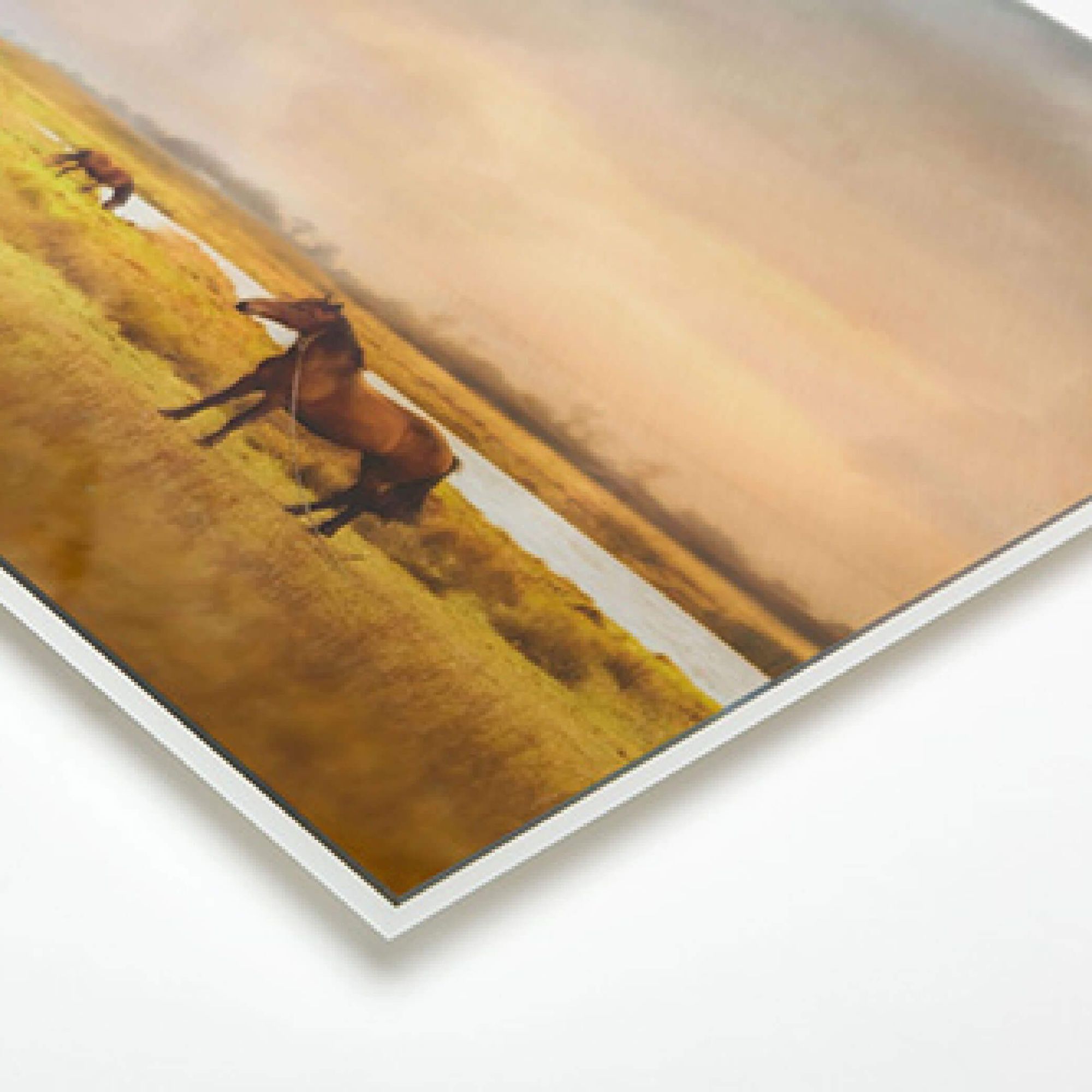 Hvit plexiglass