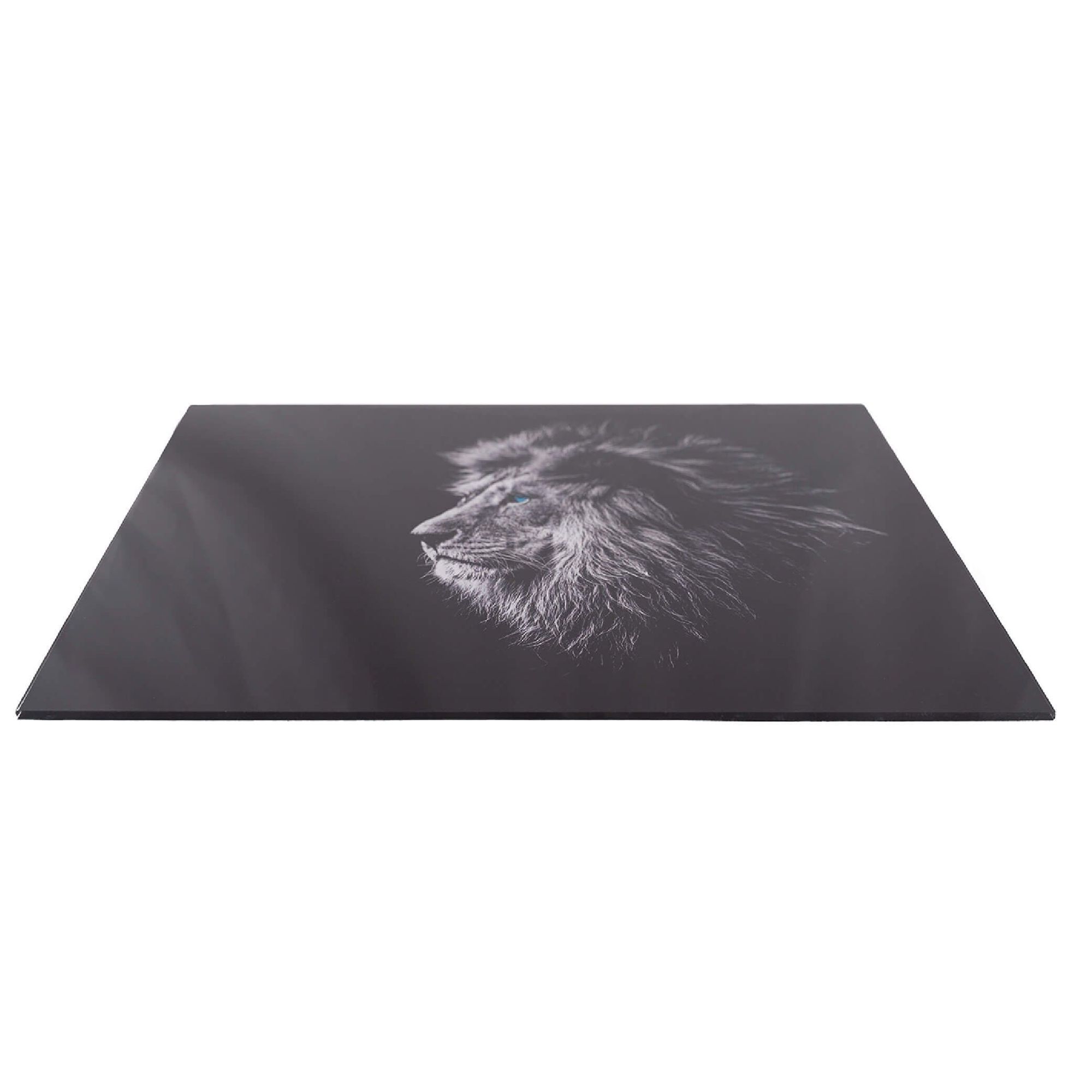 Sort Plexiglass